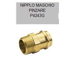 Niples Maschio
