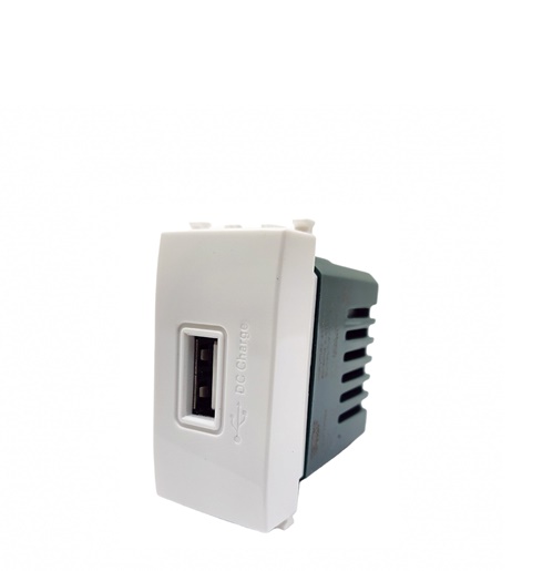 Presa USB ad una presa 2A 5V - 1 modulo Modello USB
Funzionamento 5VMetodo di montaggio incasso a parete Materiale plastica colore BiancoTensione di ingresso 250VAC Frequenza 50/60Hz