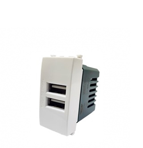 Presa USB a due prese 1A 5V -modulo
Modello USB Funzionamento 5V
Metodo di montaggio incasso a parete Materiale plastica Colore Bianco
Tensione di ingresso 250VAC Frequenza 50/60Hz