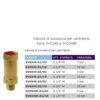 Valvola Di Sicurezza Eco 18 Bar G1/4 M Per Centr.  SV0349E.01/18