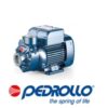Elettropompa Pksm 65 Hp 0.70 Pedrollo  PKSM65