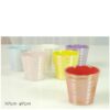 Vasetto 6 Pz Assortito  410727