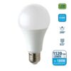 Lampadina Led E27 15W 1520Lm 6500K Qta/96  A60C15