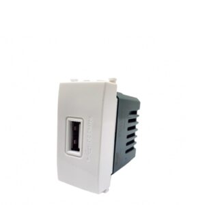 Presa USB ad una presa 2A 5V - 1 modulo Modello USB 
Funzionamento 5VMetodo di montaggio incasso a parete Materiale plastica colore BiancoTensione di ingresso 250VAC Frequenza 50/60Hz