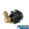 Elettropompa Autodescante Corpo In Ottone Hp. 0,8  Lb100