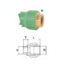 Manicotto Sella uscita Filettato F. 3/4"X63