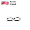 Or 147 Per Sede Estraibile E Codulo Conf. Pz. 8 Prezzo Pz. 1  P-6596