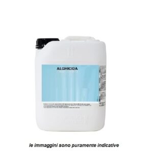 Antialghe Piscina Alghicida Concentrato - Tripla Azione  Lt 1 Zz  PS1101C12