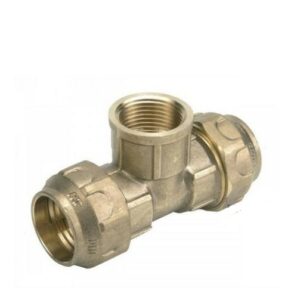 Tee Femmina Centrale Politilene Anello In Ottone  D. 1" X 32  TFPH32