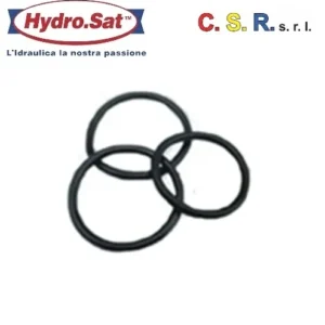 Guarnizione Per Tappo A Vite D.125  Gtv125